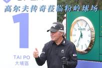 反观猛龙